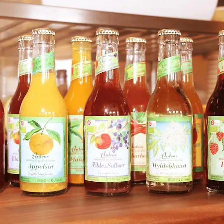 Grenaa Hostel 3* גרנה